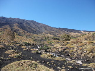 nte Corvo-01-11-2012 11-02-26